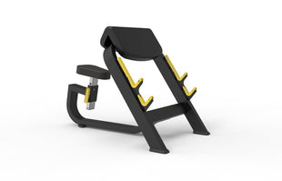 preacher curl bench